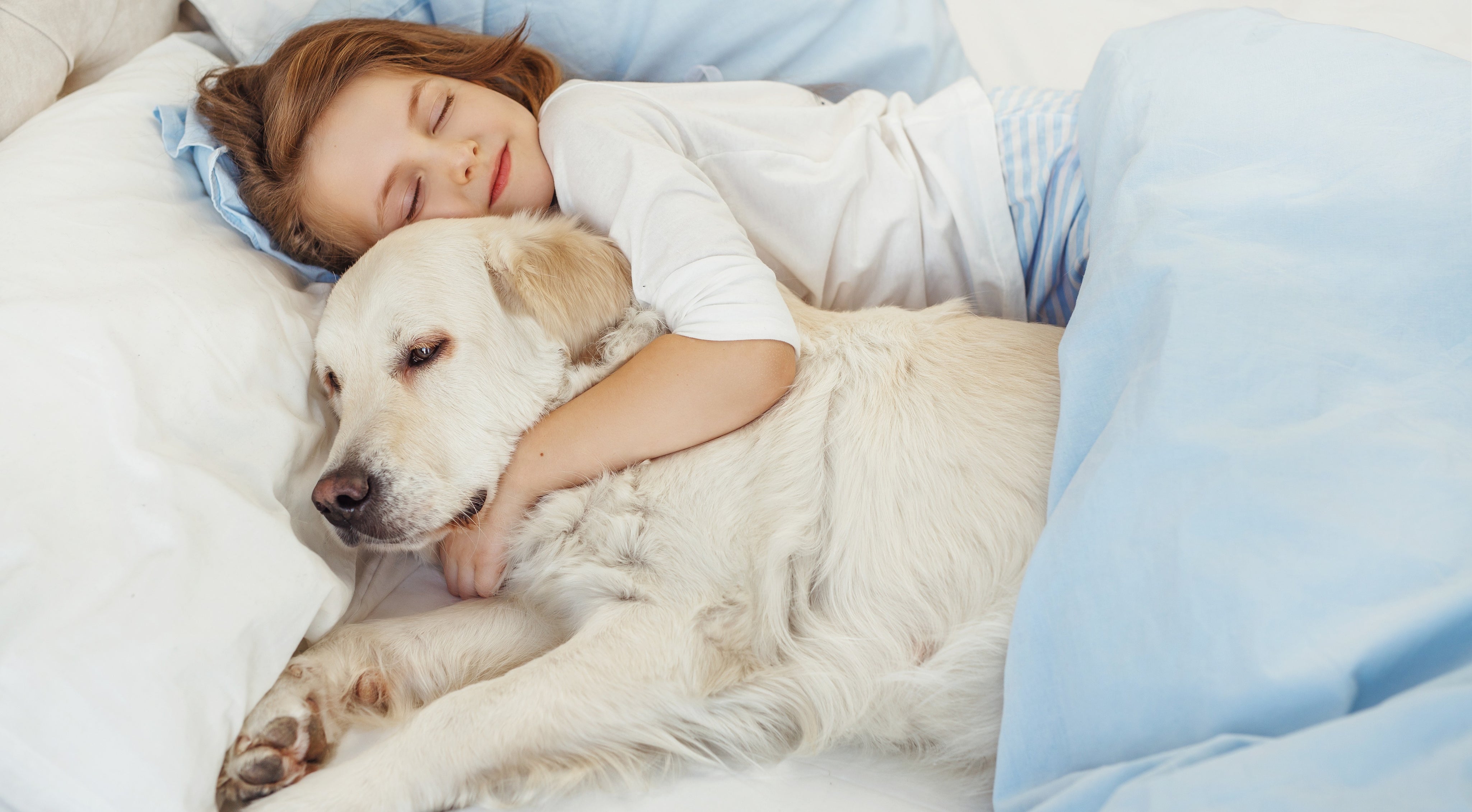 shutterstock_1036133830_N.jpg