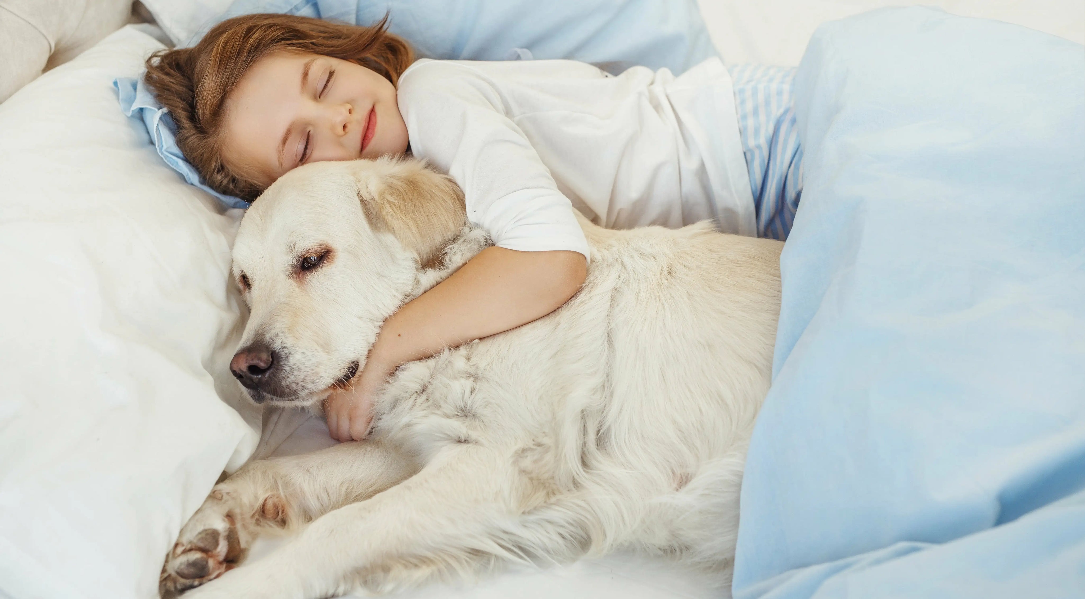 shutterstock_1036133830_N.webp